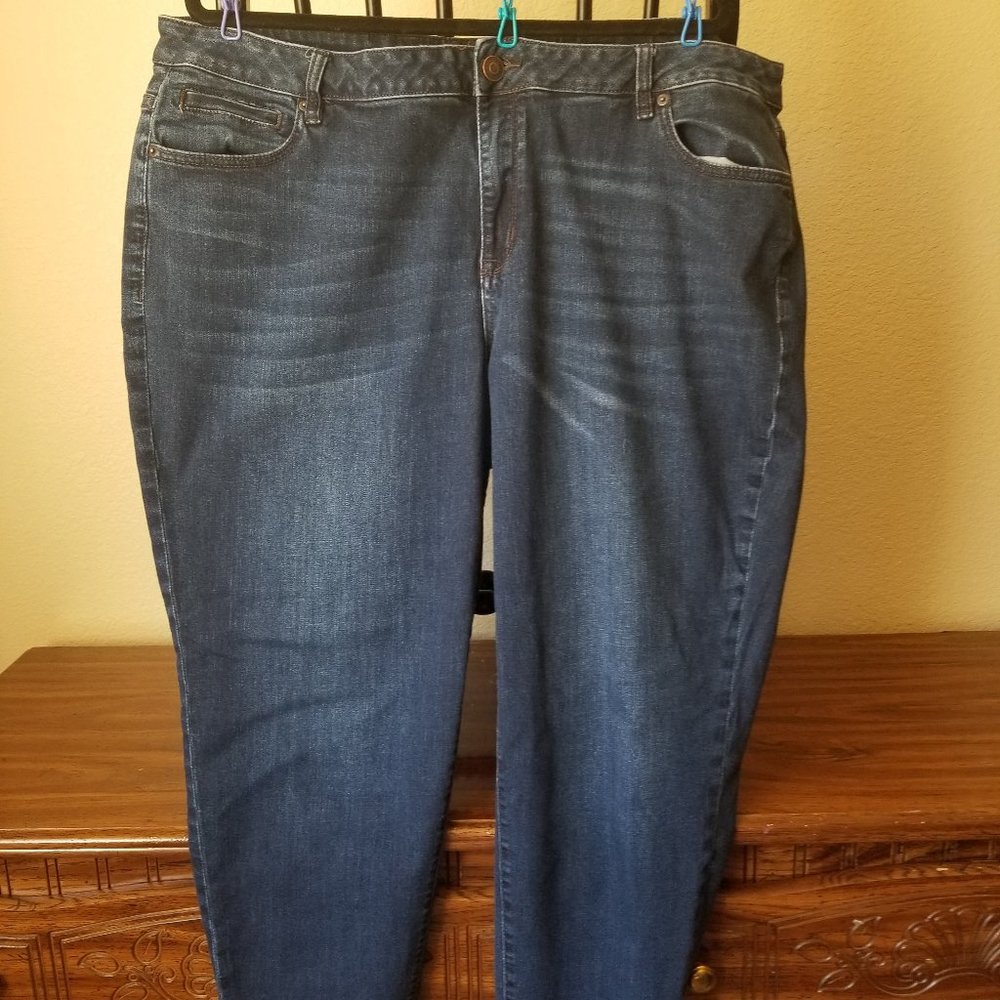 Lane Bryant Venezia skinny jeans